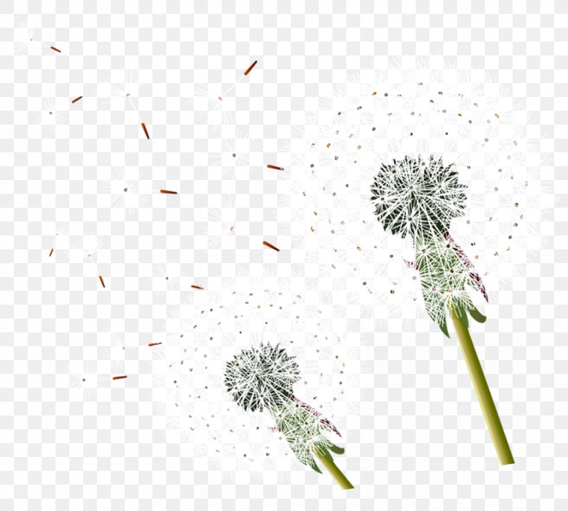 Common Dandelion Taraxacum Platycarpum Clip Art Pissenlit Point, PNG, 915x824px, Common Dandelion, Dandelion, Flora, Flower, Flowering Plant Download Free