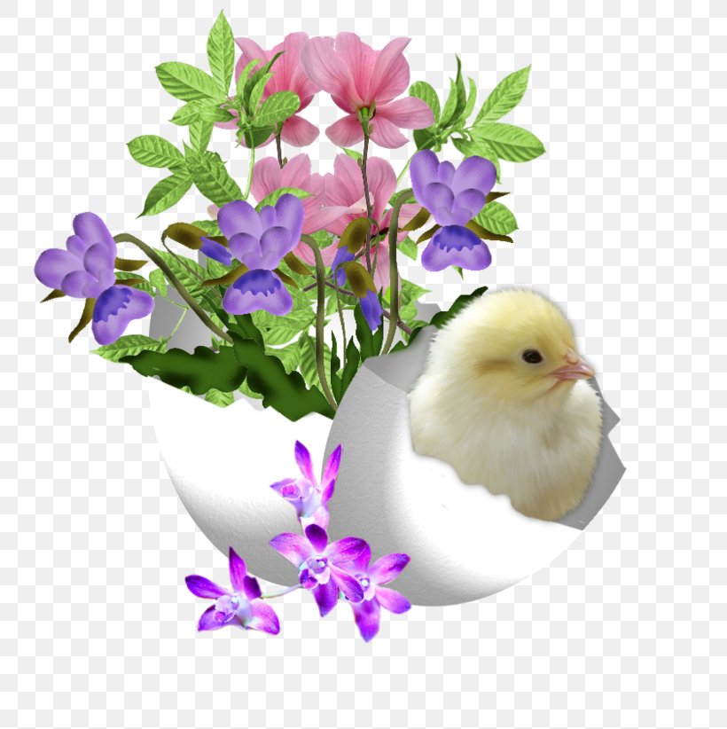 Easter Egg Easter Bunny .de, PNG, 800x822px, Easter, Beak, Bird, Birthday, Branch Download Free