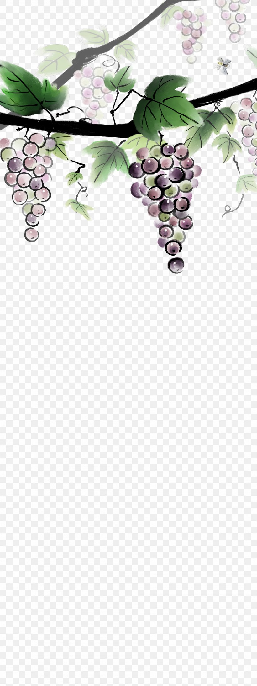 Grape Ink Wash Painting Download, PNG, 1889x5039px, Grape, Art, Branch, Cherry Blossom, Designer Download Free