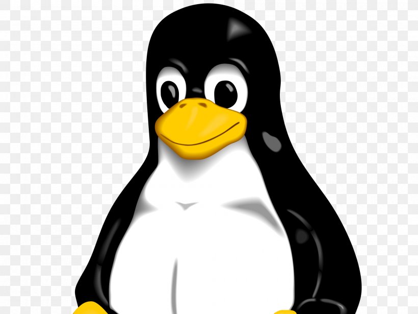 Tux Racer Linux Tuxedo GNU, PNG, 2000x1500px, Tux, Beak, Bird, Computer Software, Flightless Bird Download Free