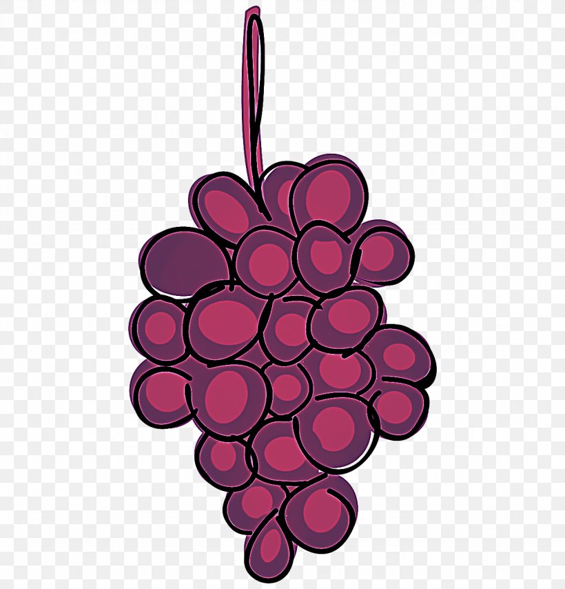 Pink Magenta Violet Grape Plant, PNG, 1229x1280px, Pink, Flower, Grape, Grapevine Family, Magenta Download Free