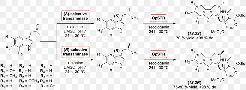 Strictosidine Catalysis Chemical Synthesis Pictet–Spengler Reaction Reserpine, PNG, 3159x1158px, Catalysis, Acid Catalysis, Biosynthesis, Chemical Synthesis, Ciclizzazione Download Free