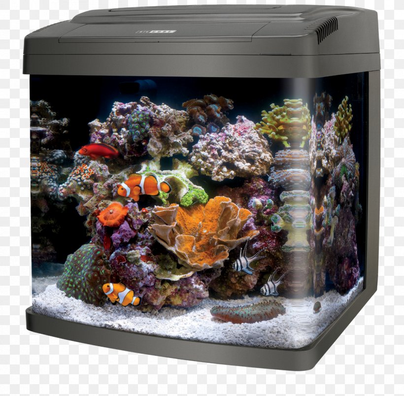 Coralife LED BioCube Coralife LED Bio Cube 32 Aquariums Reef Aquarium, PNG, 1200x1178px, Aquariums, Aquarium, Aquarium Decor, Aquarium Filters, Aquarium Lighting Download Free