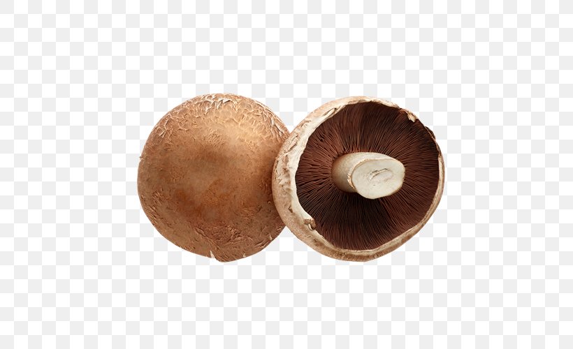 Shiitake Saxtorp Svamp AB GrönsaksMästarna Sverige AB Common Bean Pea, PNG, 500x500px, Shiitake, Agaricaceae, Agaricomycetes, Broad Bean, Common Bean Download Free