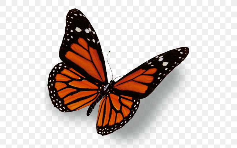 The Monarch Butterfly Insect Clip Art, PNG, 512x512px, Butterfly, Arthropod, Brush Footed Butterfly, Brushfooted Butterflies, Butterflies And Moths Download Free