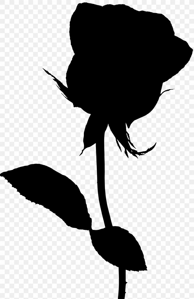 Bird Clip Art Flower Plant Stem Leaf, PNG, 2000x3087px, Bird, Beak, Blackandwhite, Botany, Branching Download Free