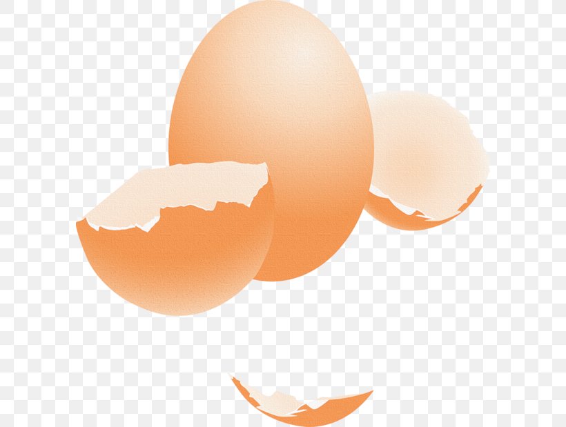 Eggshell Chicken Image, PNG, 600x619px, Egg, Blog, Centerblog, Chicken, Drawing Download Free