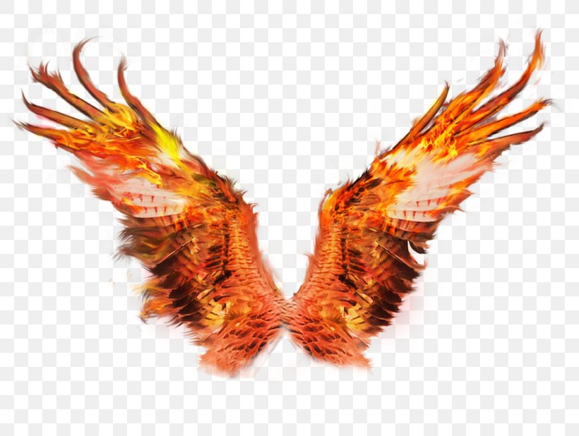 Fire Wings Sacramento Phoenix Firebird, PNG, 800x618px, Fire Wings Sacramento, Art, Beak, Drawing, Firebird Download Free