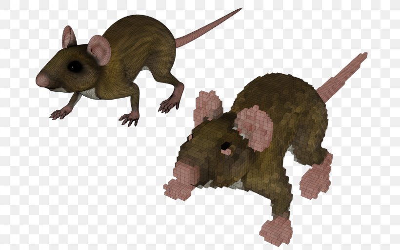 Mouse Marsupial Terrestrial Animal Snout, PNG, 1280x800px, Mouse, Animal, Animal Figure, Fauna, Marsupial Download Free