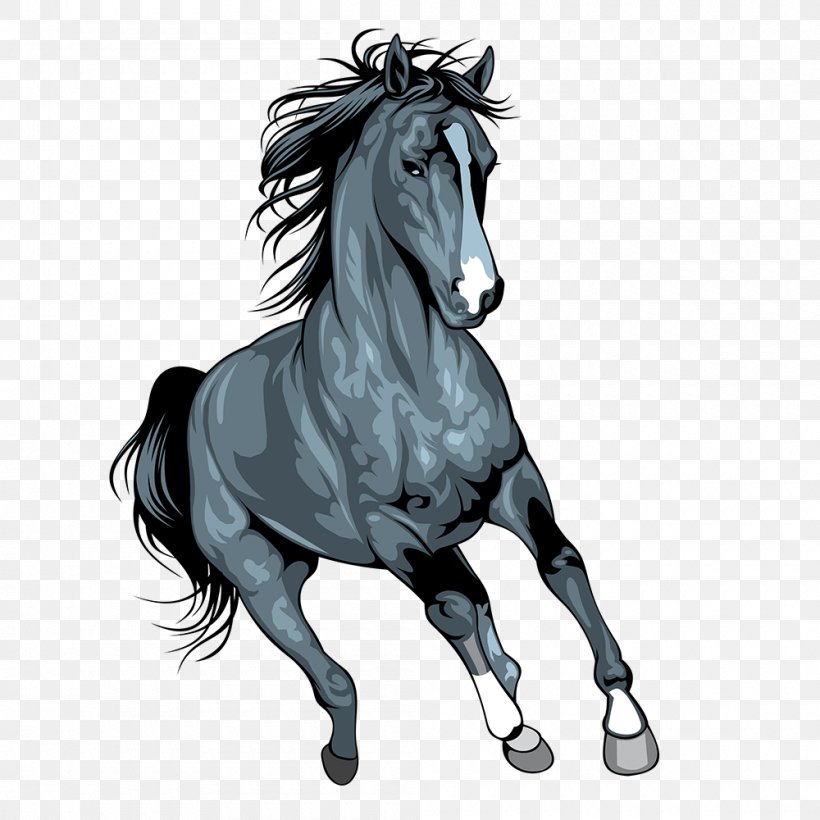 Mustang Arabian Horse Pony Illustration Art, PNG, 1000x1000px, Mustang, Arabian Horse, Art, Black And White, Bridle Download Free