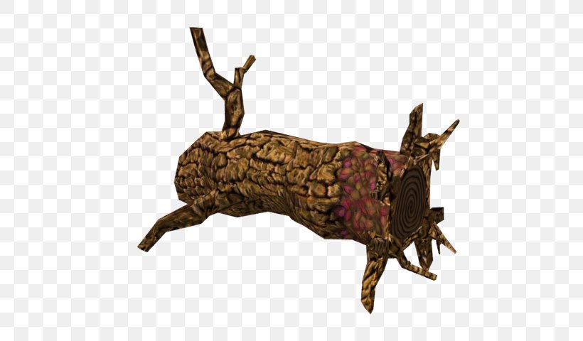Reindeer Fauna Jeffrey Horn, PNG, 640x480px, Reindeer, Antler, Deer, Fauna, Horn Download Free