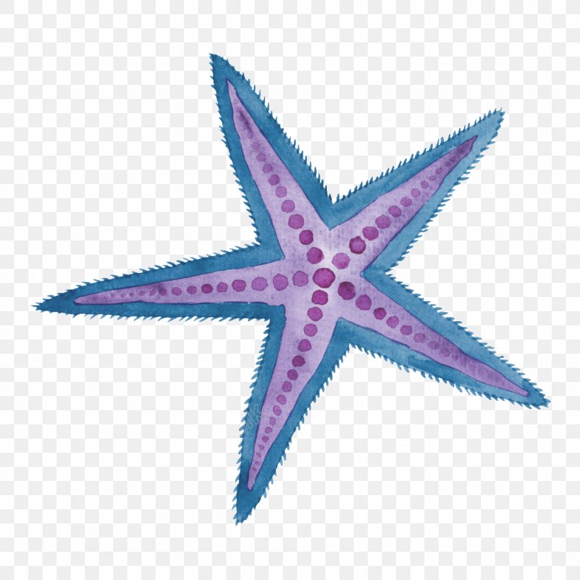 Starfish Illustration Watercolor Painting Birthday Sea, PNG, 1024x1024px, Starfish, Art, Birthday, Decal, Echinoderm Download Free