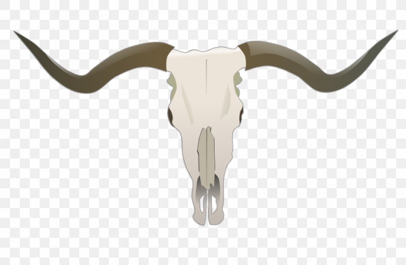 Texas Longhorn Skull Clip Art, PNG, 958x626px, Texas Longhorn, Bone, Bull, Cattle, Cattle Like Mammal Download Free