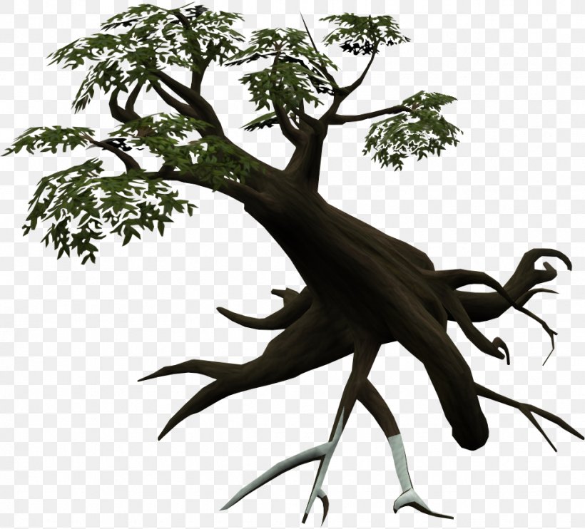 Tree Season Woody Plant Branch Hawthorn, PNG, 976x884px, Tree, Branch, Equinox, Hawthorn, Information Download Free