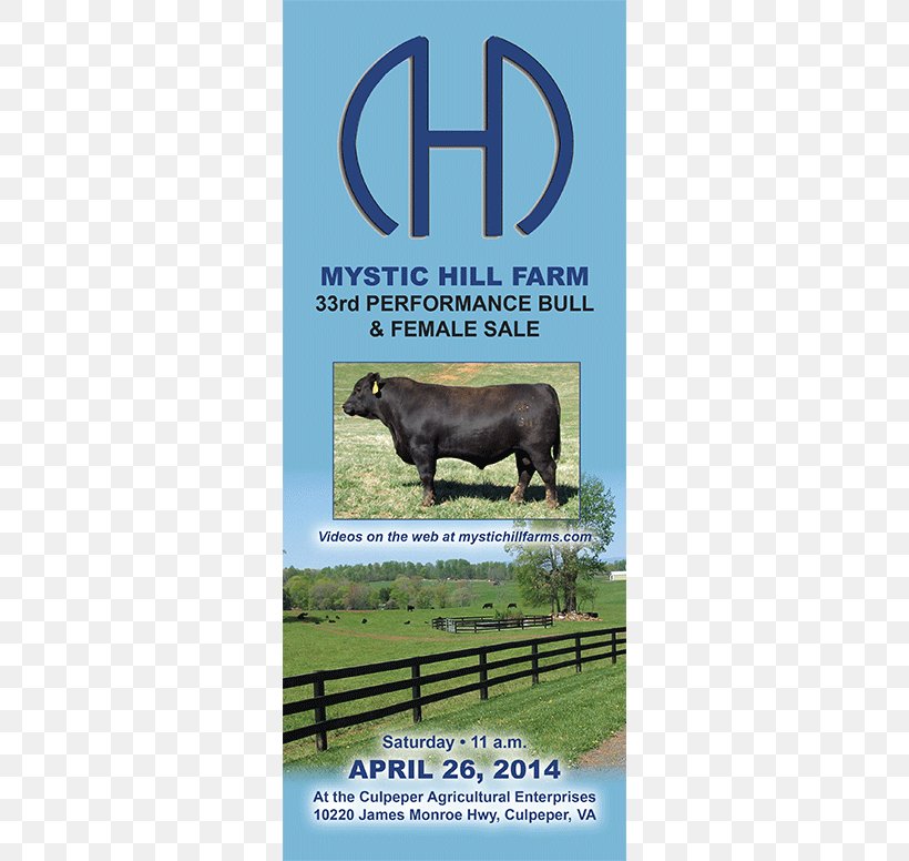 Bull Beef Cattle Ox Advertising Farm, PNG, 600x776px, Bull, Advertising, Agriculture, Beef Cattle, Brand Download Free