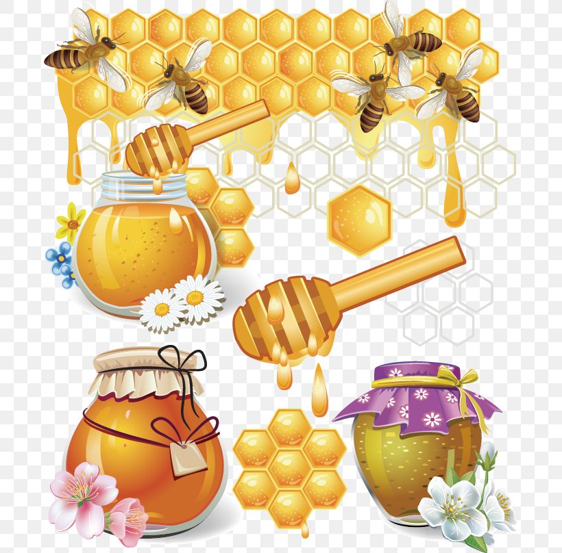 Honey Bee Honeycomb, PNG, 691x808px, Bee, Beehive, Drawing, Food, Fruit Download Free