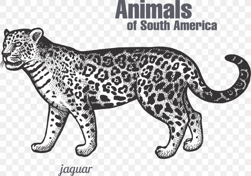 Jaguar Leopard Tiger Black Panther Felidae, PNG, 2350x1652px, Jaguar, Big Cats, Black And White, Black Panther, Carnivoran Download Free
