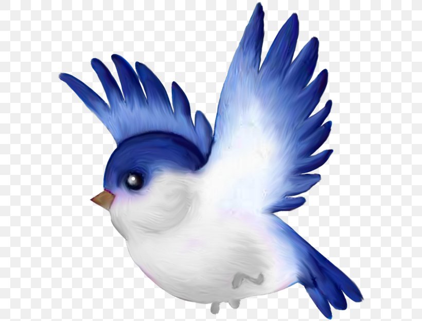 Lovebird Parrot Clip Art, PNG, 600x624px, Bird, Animation, Beak, Bird Flight, Bird Nest Download Free