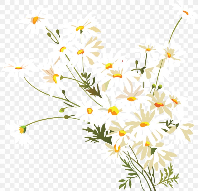 Common Daisy Chamomile Flower Clip Art, PNG, 1200x1162px, Common Daisy, Branch, Chamaemelum Nobile, Chamomile, Cut Flowers Download Free