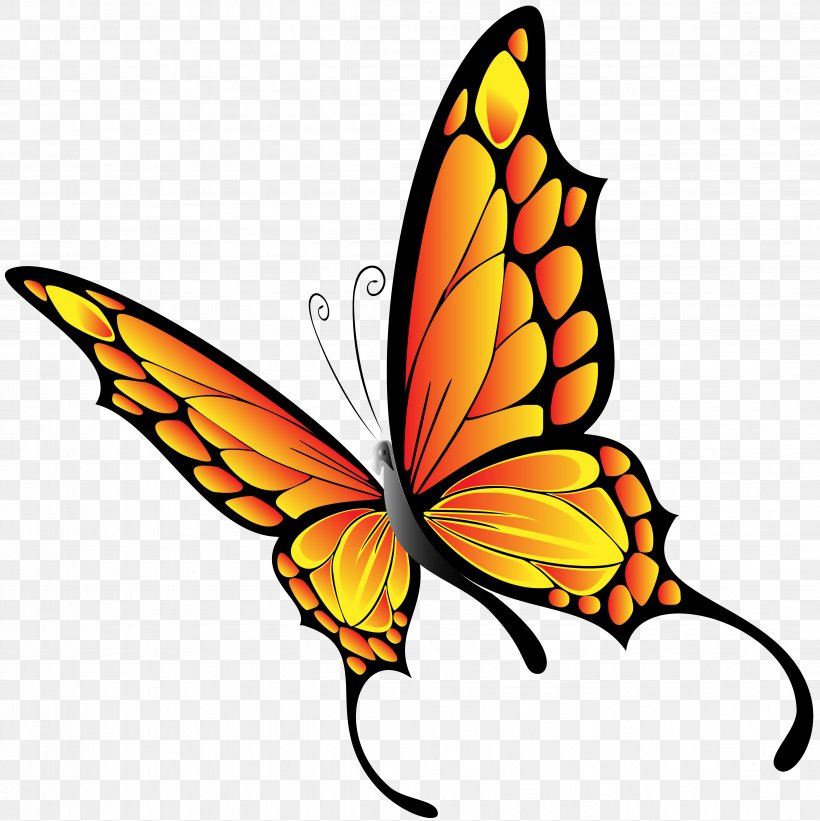 Butterfly Clip Art, PNG, 4748x4758px, Butterfly, Artwork, Brush Footed Butterfly, Butterflies And Moths, Caterpillar Download Free