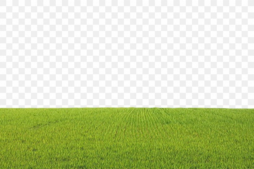 Grassland Green Field Grass Meadow, PNG, 1880x1253px, Watercolor, Field, Grass, Grassland, Green Download Free