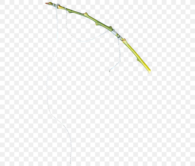 Line Angle, PNG, 489x699px, Yellow, Branch, Grass, Leaf, Plant Stem Download Free