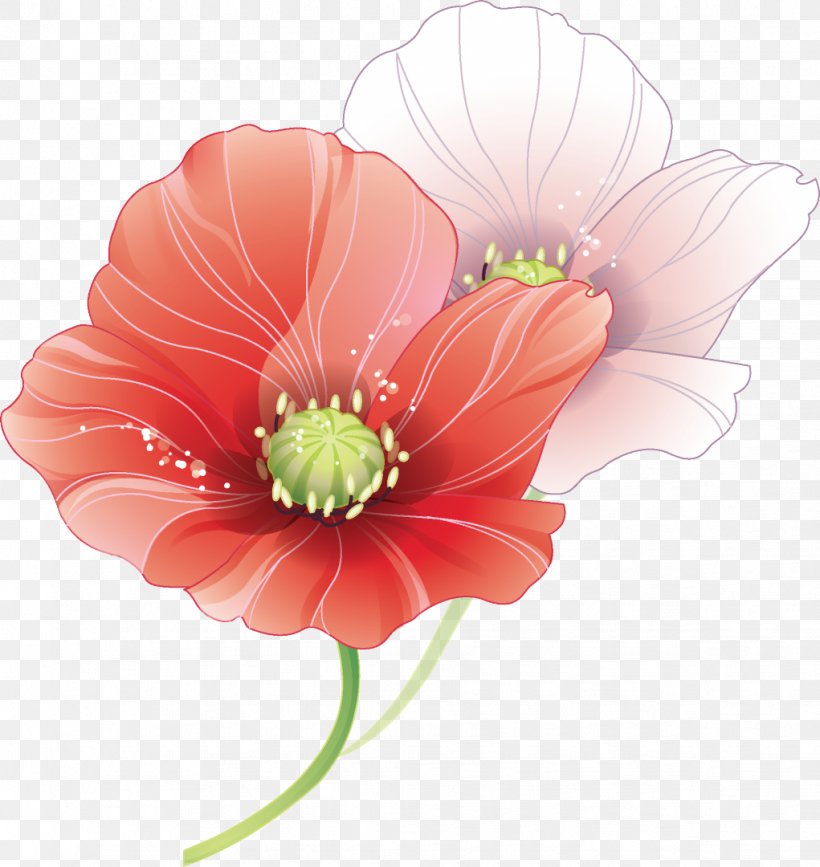 Photography Flower Clip Art, PNG, 1021x1080px, Photography, Art, Cut Flowers, Daisy Family, Decoupage Download Free