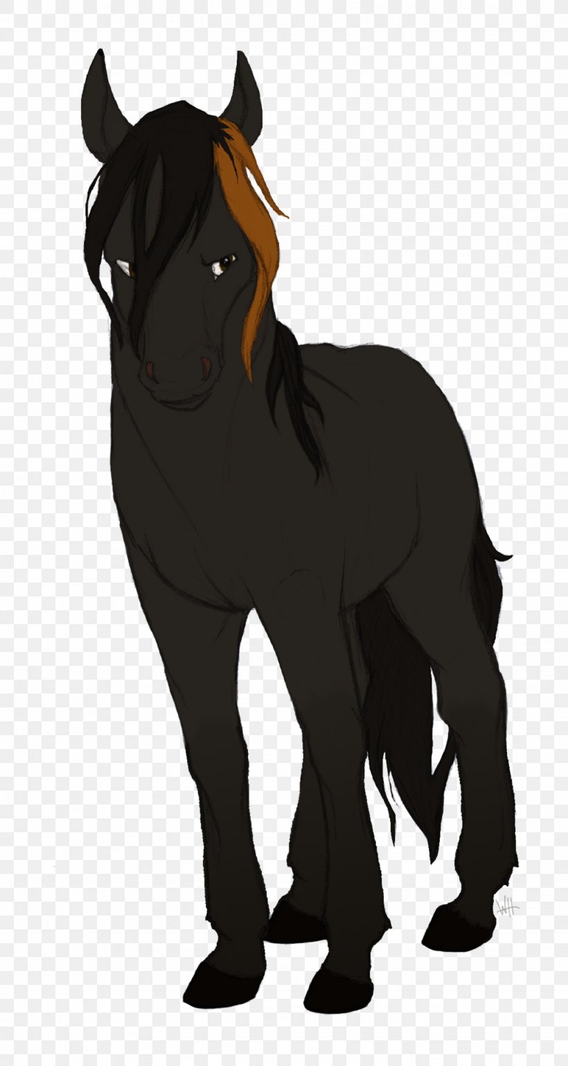 Foal Pony Stallion Mustang Halter, PNG, 1024x1920px, Foal, Animal, Bridle, Colt, Donkey Download Free