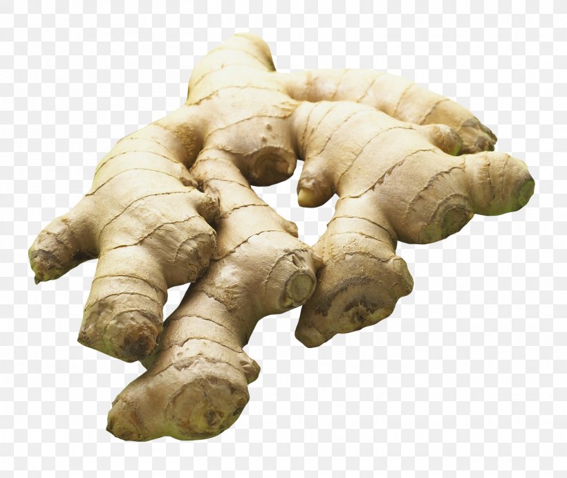 Ginger Download Seasoning Transparency And Translucency, PNG, 1513x1276px, Ginger, Archive File, Digital Image, Food, Galangal Download Free