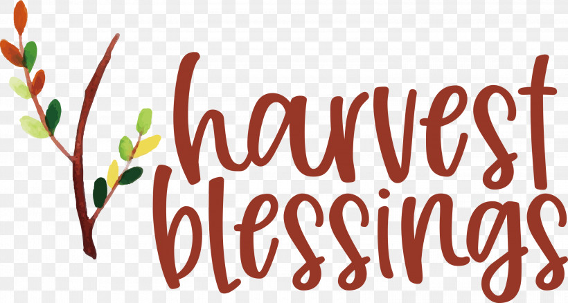 HARVEST BLESSINGS Thanksgiving Autumn, PNG, 3000x1604px, Harvest Blessings, Autumn, Flower, Logo, Meter Download Free