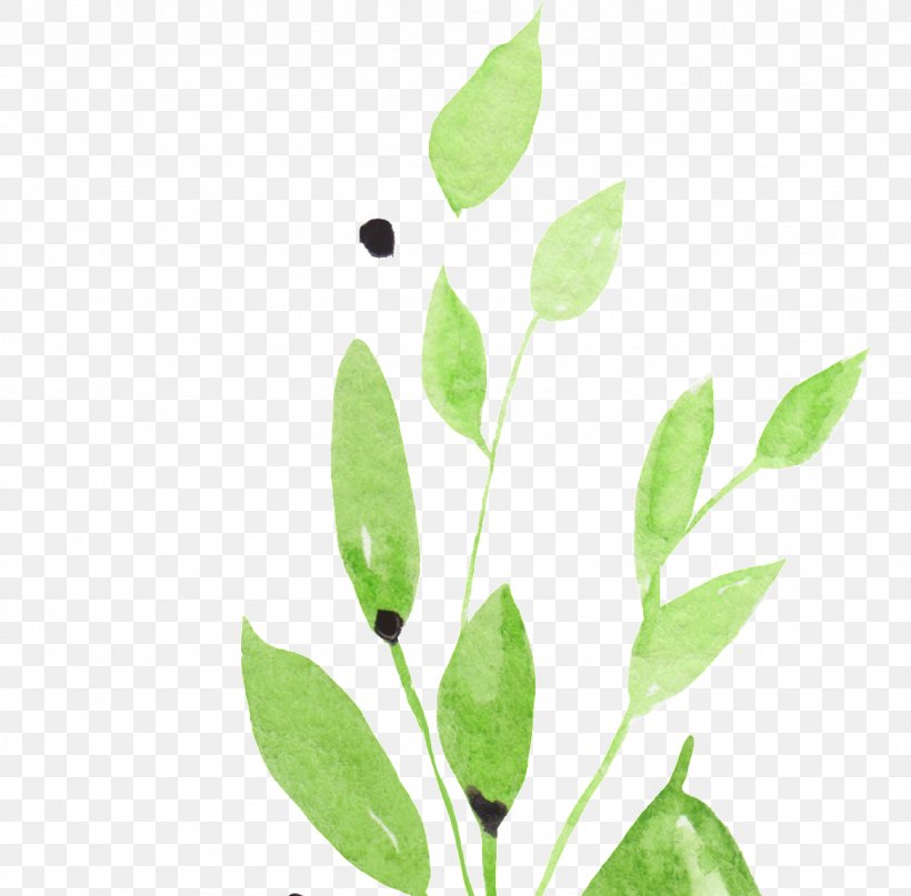 Twig Leaf Tree Shrub Plant Stem, PNG, 1024x1009px, Twig, Bark, Botany, Branch, Flower Download Free