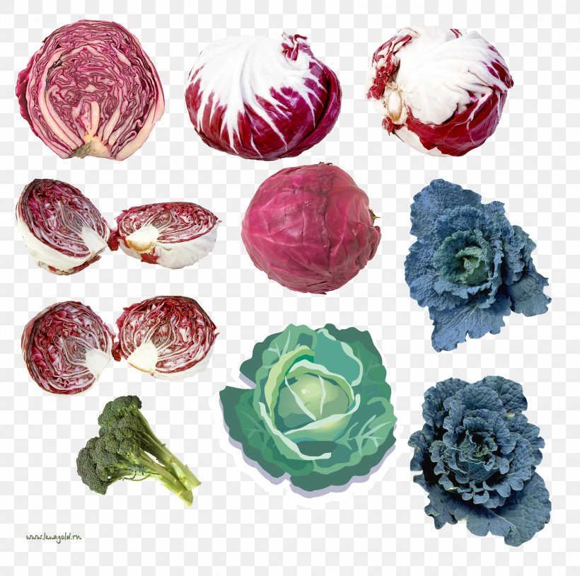 Vegetable Food, PNG, 2213x2199px, Vegetable, Archive File, Brassica Oleracea, Cabbage, Cut Flowers Download Free