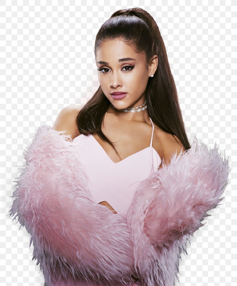 Ariana Grande The Honeymoon Tour, PNG, 805x992px, Watercolor, Cartoon, Flower, Frame, Heart Download Free