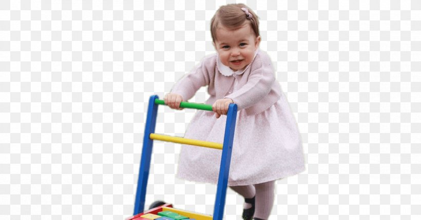 Baby Walker Toddler Toy Infant Plastic, PNG, 1200x630px, Baby Walker, Alphabet, Brick, Child, Infant Download Free