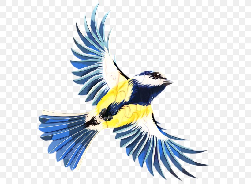 Blue Jay Great Tit Bird Download Graphics, PNG, 579x600px, Blue Jay, Advertising, Beak, Bird, Chickadee Download Free