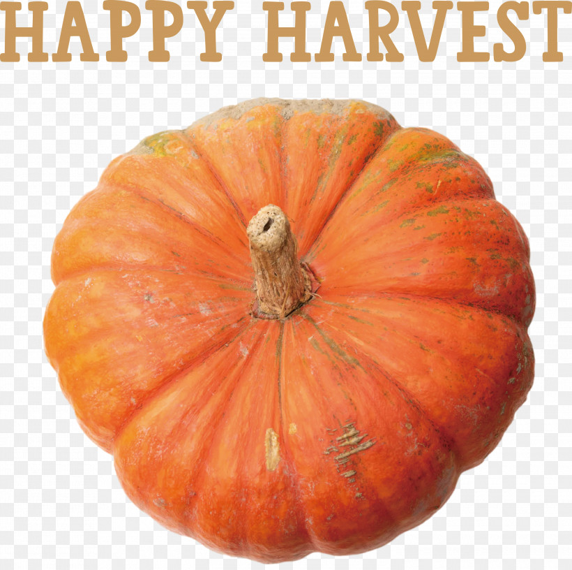 Happy Harvest Harvest Time, PNG, 3000x2988px, Happy Harvest, Calabaza, Fruit, Gourd, Harvest Time Download Free