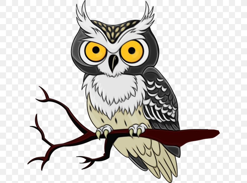 Bird Owl Bird Of Prey Eastern Screech Owl Beak, PNG, 640x607px, Watercolor, Beak, Bird, Bird Of Prey, Eastern Screech Owl Download Free