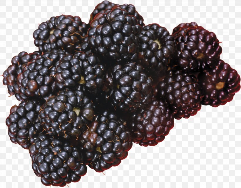 Blackberry Fruit Frutti Di Bosco, PNG, 4642x3624px, Blackberry, Berry, Boysenberry, Digital Image, Food Download Free