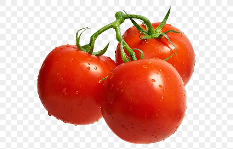 Cherry Tomato Lecsxf3 Cultivar Auglis Fruit, PNG, 634x523px, Cherry Tomato, Ajika, Auglis, Bush Tomato, Crop Yield Download Free