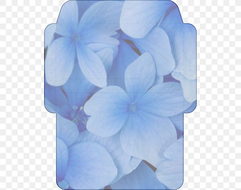 Flower Desktop Wallpaper Drawing, PNG, 519x646px, Flower, Art Museum, Blog, Blue, Cornales Download Free