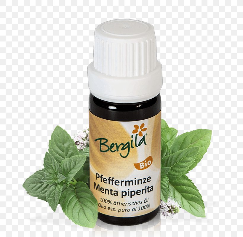 Herb Essential Oil Peppermint Pine Oil, PNG, 800x800px, Herb, Bergila, Essential Oil, Flavor, Ingredient Download Free