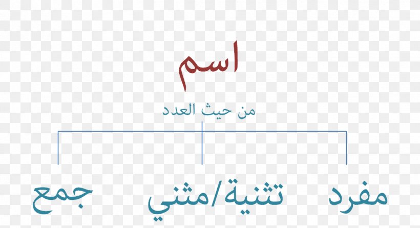 Dual Plural Ainsus Arabic Grammar, PNG, 1033x561px, Dual, Ainsus, Arabic, Arabic Grammar, Arabic Keyboard Download Free