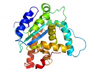 Protein Structure Images, Protein Structure Transparent PNG, Free download
