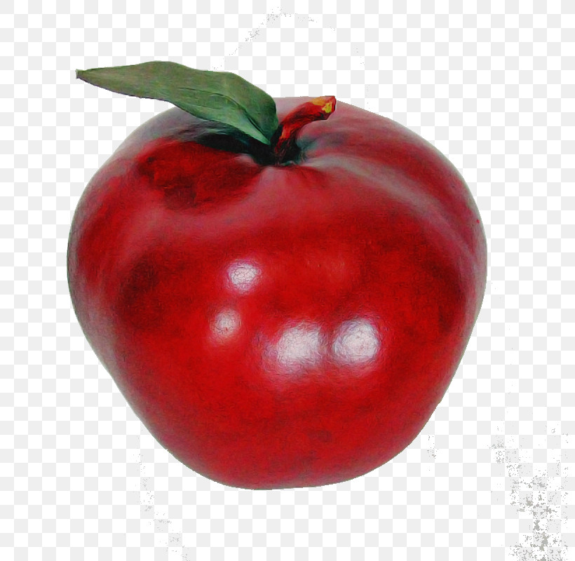 Tomato, PNG, 800x800px, Natural Foods, Food, Fruit, Plant, Red Download Free