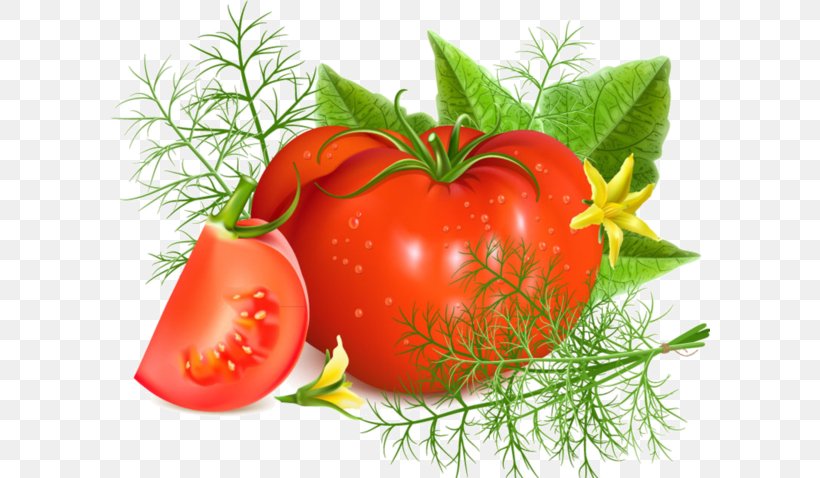 Tomato Soup Tomato Juice Minestrone, PNG, 600x478px, Tomato Soup, Bush Tomato, Diet Food, Food, Fruit Download Free
