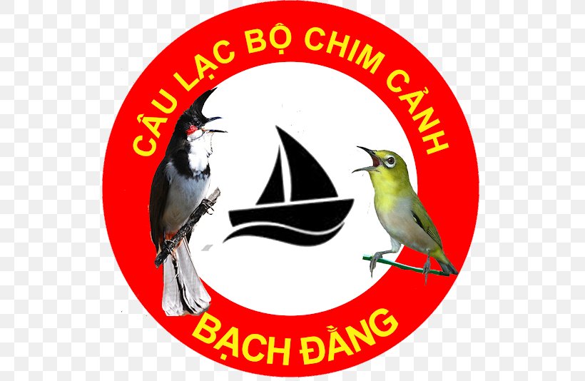 Logo Bird Advertising Beak Brand, PNG, 534x534px, Logo, Advertising, Beak, Bird, Brand Download Free