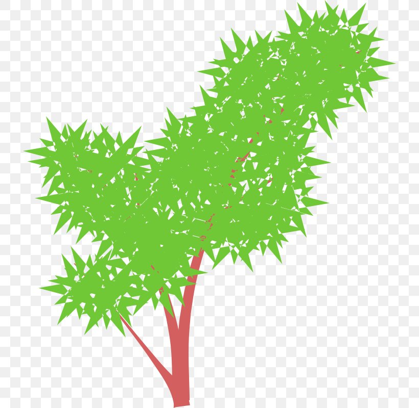 Tree Clip Art, PNG, 730x800px, Tree, Branch, Dandelion, Flora, Flowering Plant Download Free