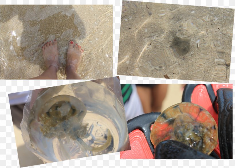 Burot Beach Waterbed Pagudpud, PNG, 1285x921px, Waterbed, Beach, Bed, Bohol, Calatagan Download Free