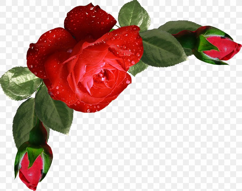 Garden Roses Flower Bouquet Clip Art, PNG, 2200x1738px, Garden Roses, Artificial Flower, Cut Flowers, Floral Design, Flower Download Free