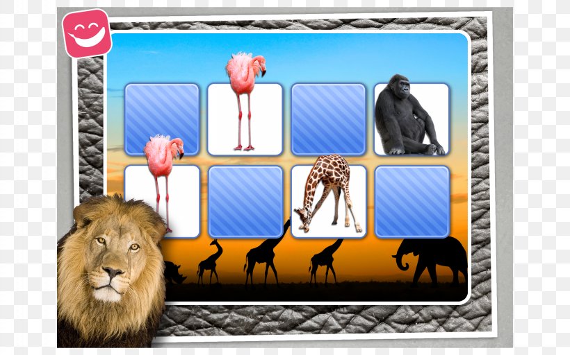 God's Mirror Leader's Edition Fauna Of Africa Zoo Picture Frames, PNG, 2560x1600px, Africa, Animal, Book, Fauna, Fauna Of Africa Download Free